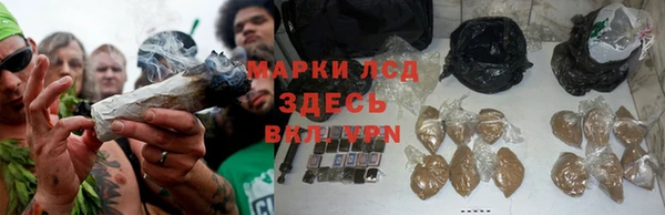 СК Алексин