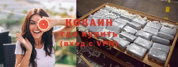 СК Алексин