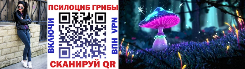Псилоцибиновые грибы прущие грибы  MEGA вход  Николаевск 